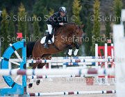 Novella del Castegno Tosc Tour2013- S5 1895 : Arezzo, Cavalli d'Italia, Novella del Castegno, Toscana Tour 2013, foto di Stefano Secchi ©